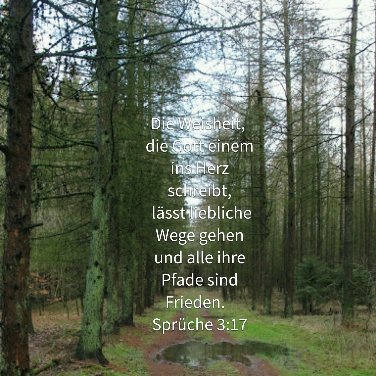 image-5556404