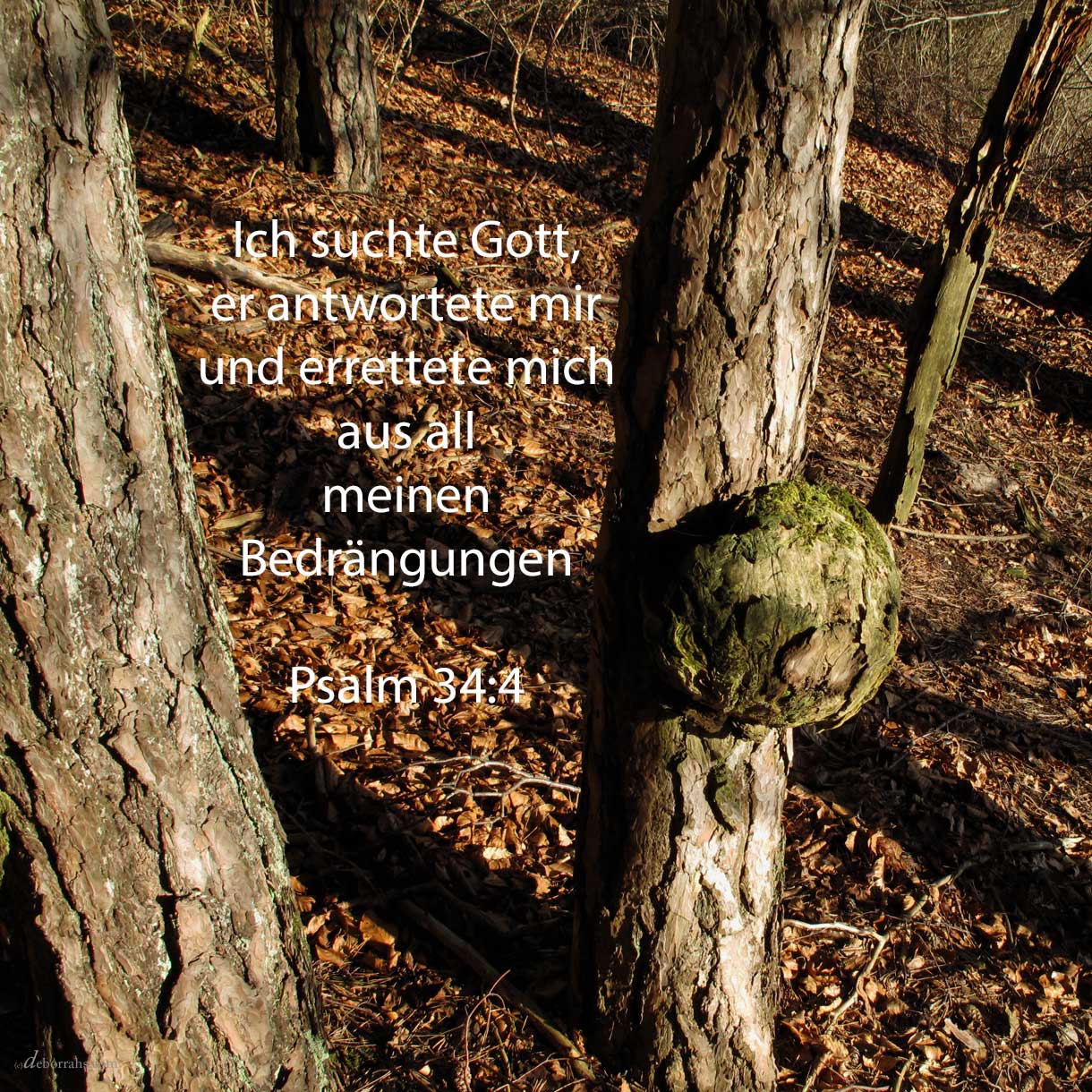 image-5864241