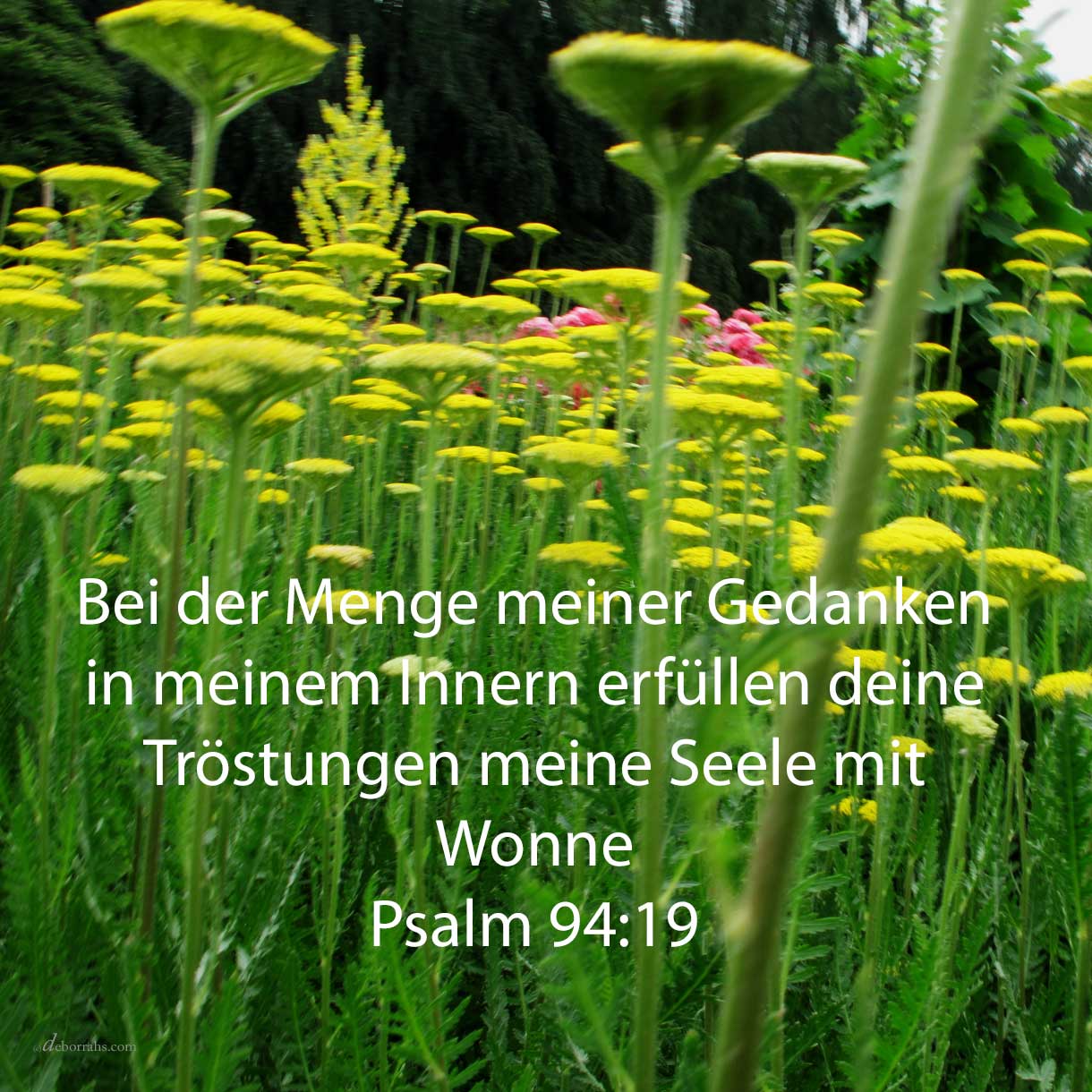 image-6508458